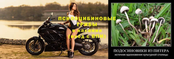 винт Нязепетровск