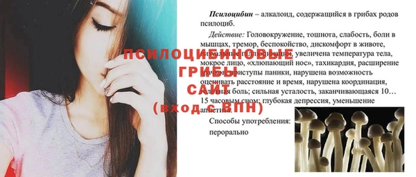 ГАЛЛЮЦИНОГЕННЫЕ ГРИБЫ Богородицк