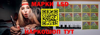 индика Моздок