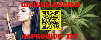 индика Моздок