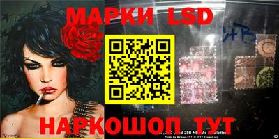 индика Моздок