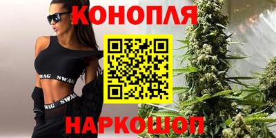 индика Моздок