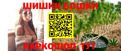 шишки Можайск