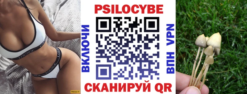 дарк нет состав  где купить наркотик  Вязьма  Псилоцибиновые грибы прущие грибы 