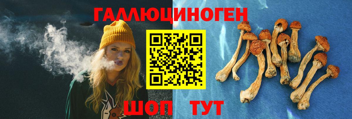 Вязьма  где купить наркоту  Галлюциногенные грибы Cubensis  Вход с VPN  Псилоцибиновые грибы Cubensis 