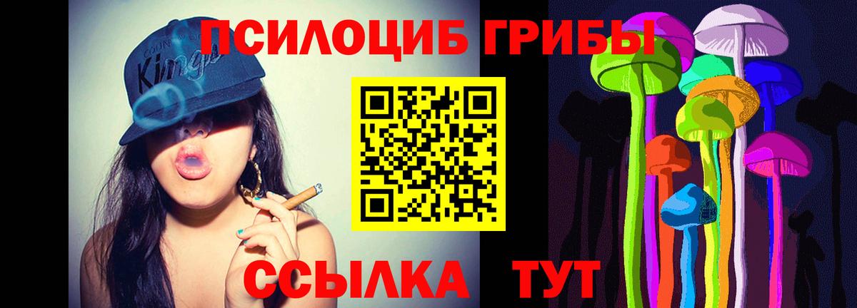 Псилоцибиновые грибы Cubensis Вязьма